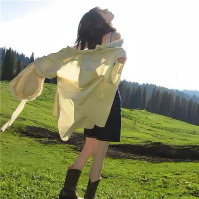 顽皮豹之怀念探长